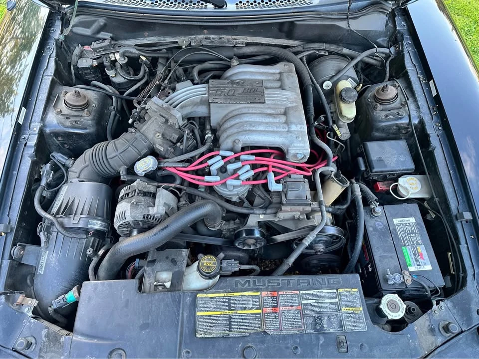 1994 Ford SN95 Mustang - Image 13 of 14