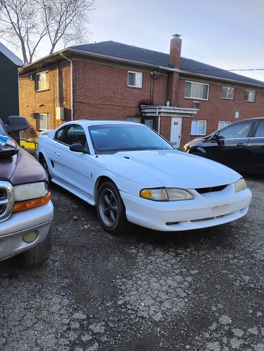 1994 Ford SN95 Mustang - Image 5 of 6
