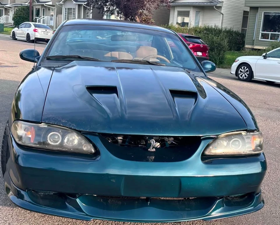 1994 Ford SN95 Mustang Cobra - Image 7 of 14