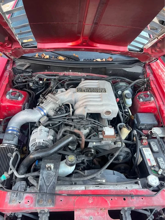 1994 Ford SN95 Mustang Cobra - Image 2 of 6