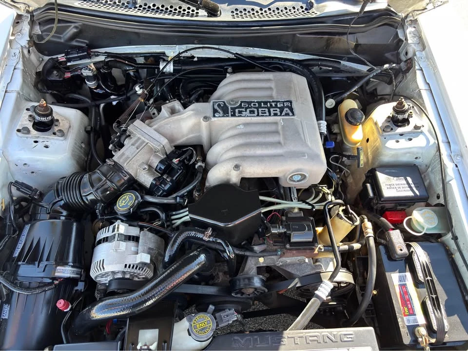 1994 Ford SN95 Mustang Cobra - Image 10 of 10