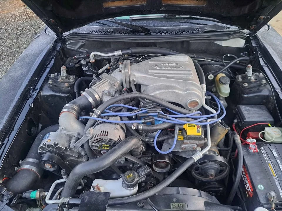1994 Ford SN95 Mustang Cobra - Image 7 of 7