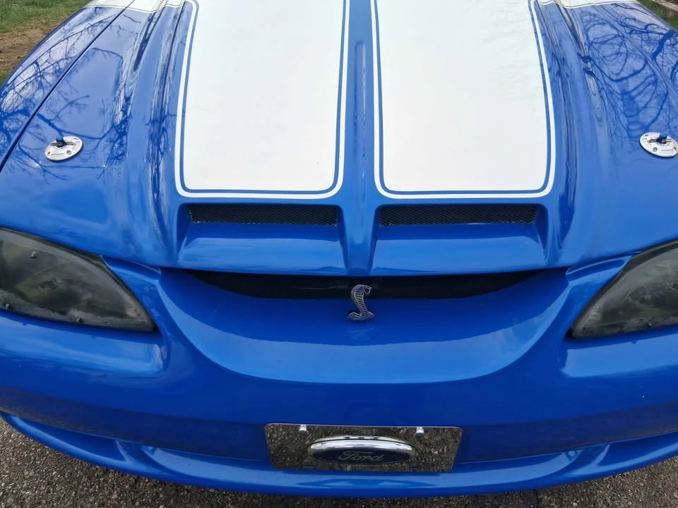 1994 Ford SN95 Mustang Cobra - Image 9 of 15