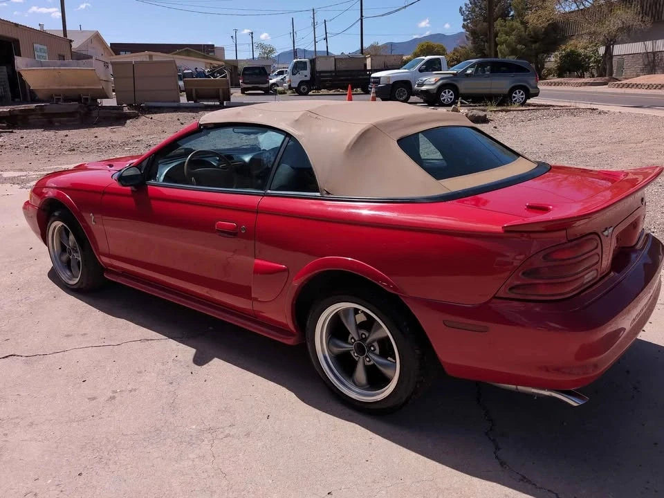 1994 Ford SN95 Mustang Cobra - Image 15 of 16
