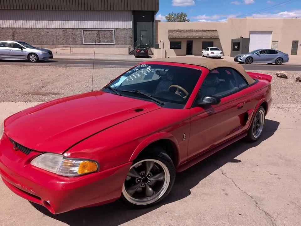 1994 Ford SN95 Mustang Cobra - Image 14 of 16
