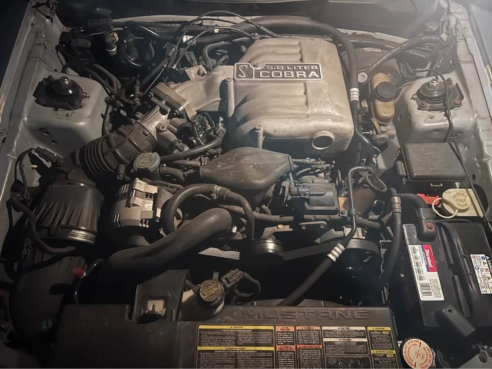 1994 Ford SN95 Mustang Cobra - Image 14 of 14