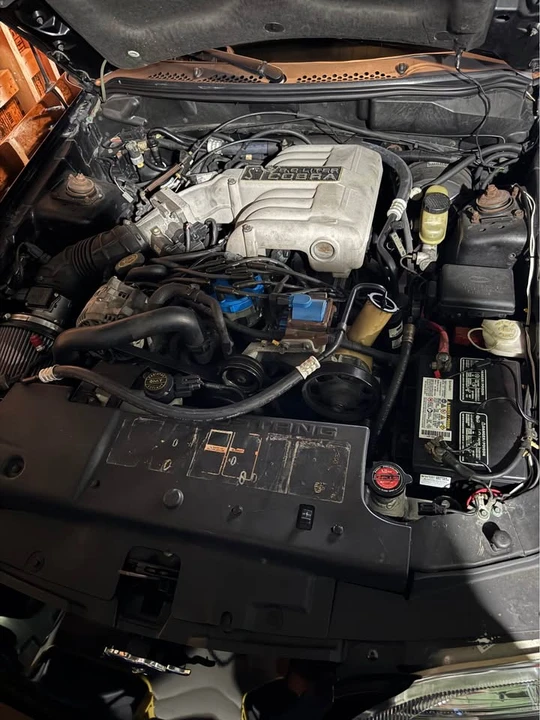 1994 Ford SN95 Mustang Cobra - Image 8 of 15