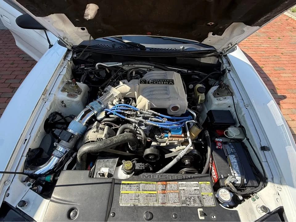 1994 Ford SN95 Mustang Cobra - Image 10 of 12