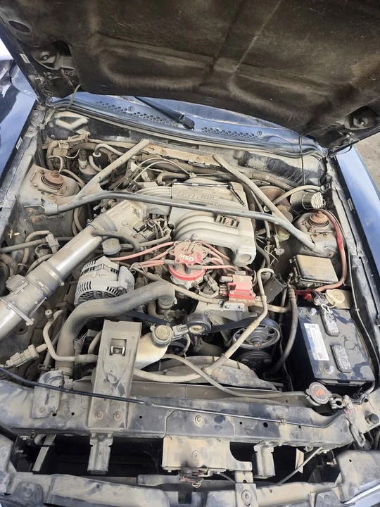 1994 Ford SN95 Mustang - Image 6 of 6