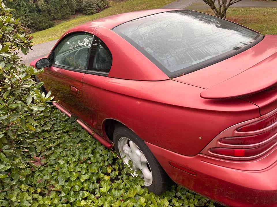 1994 Ford SN95 Mustang - Image 3 of 7