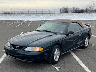 1994 Ford SN95 Mustang - Image 5 of 12