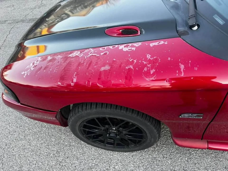 1994 Ford SN95 Mustang - Image 9 of 15