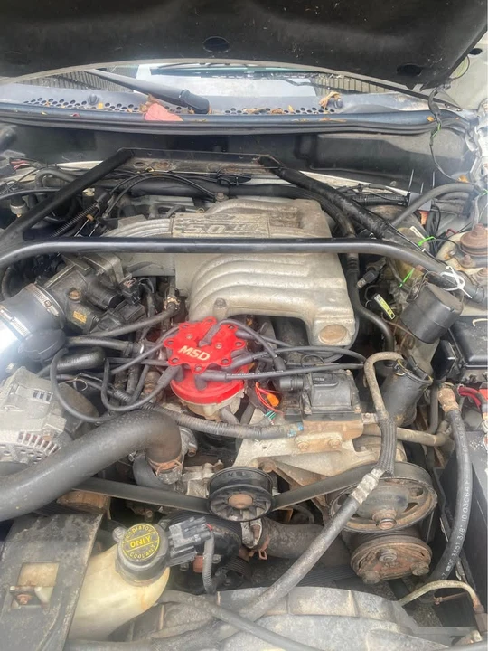 1994 Ford SN95 Mustang - Image 2 of 9