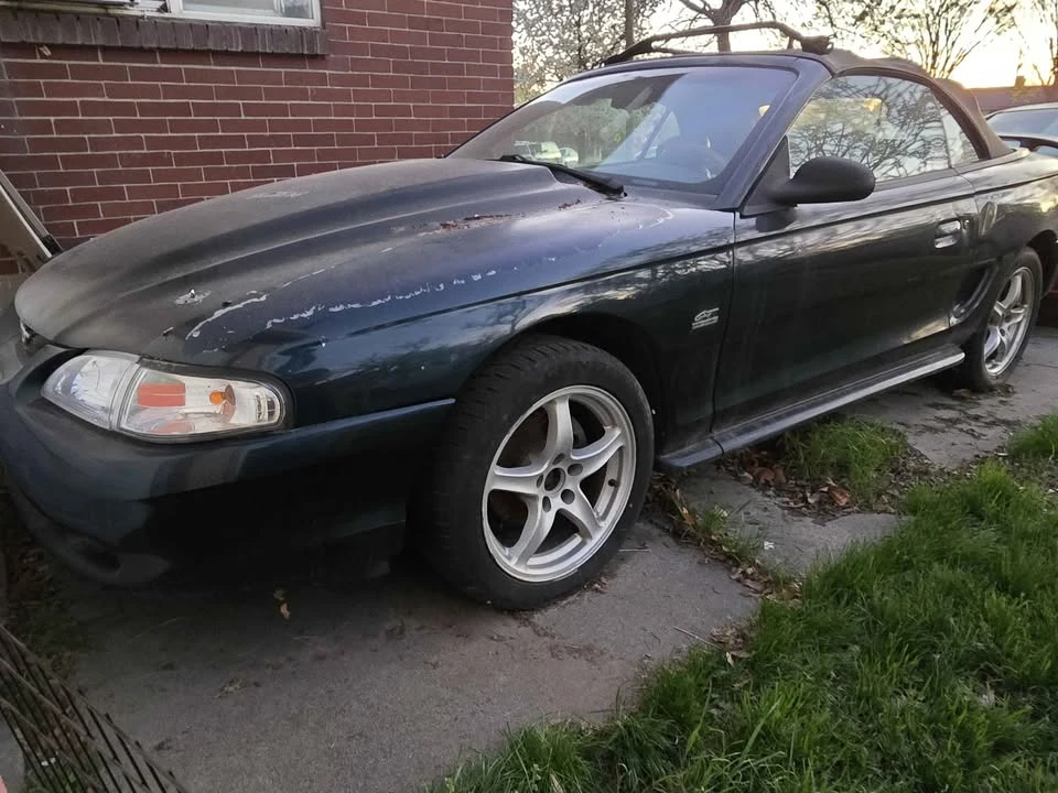 1994 Ford SN95 Mustang - Image 3 of 3