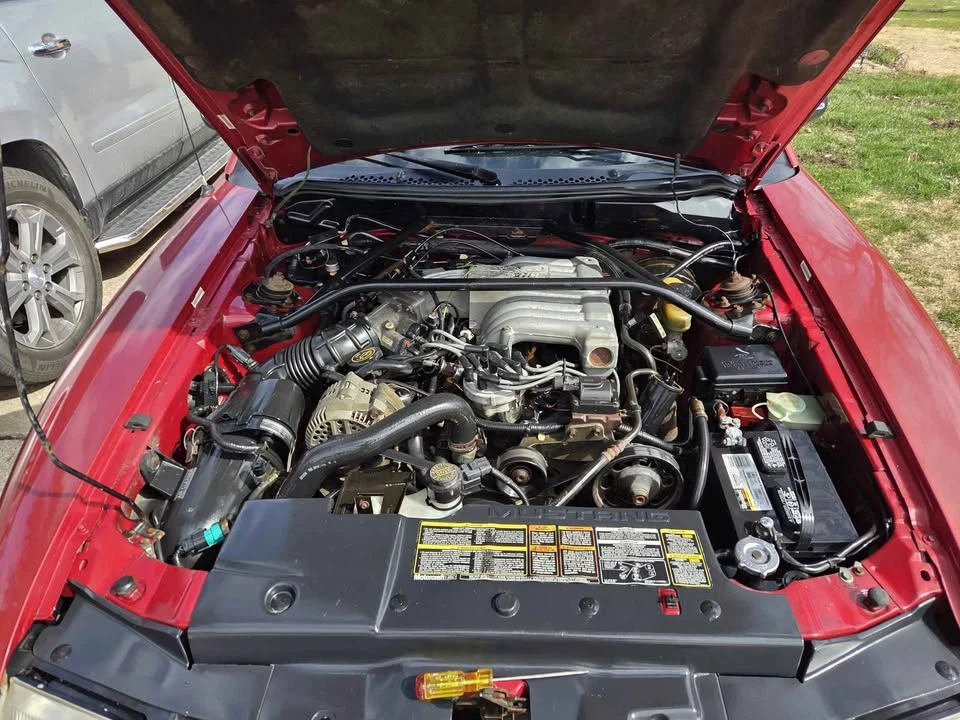 1994 Ford SN95 Mustang - Image 9 of 9