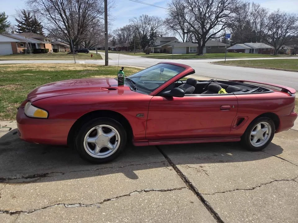 1994 Ford SN95 Mustang - Image 10 of 15