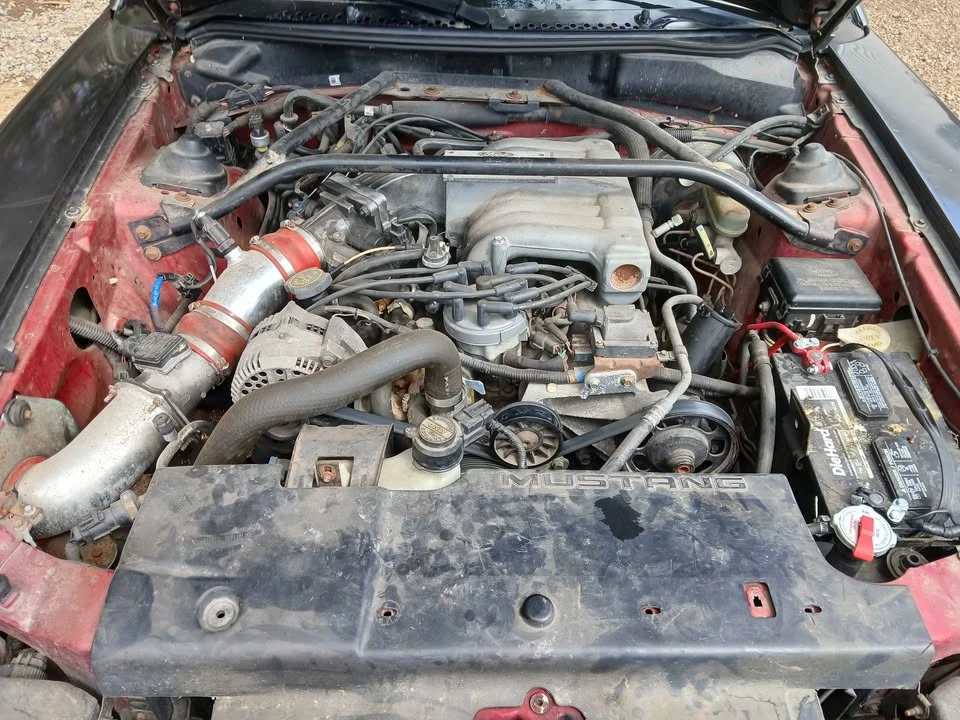 1994 Ford SN95 Mustang - Image 9 of 9