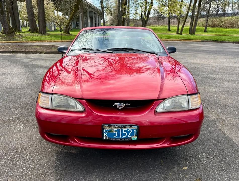 1994 Ford SN95 Mustang - Image 2 of 9