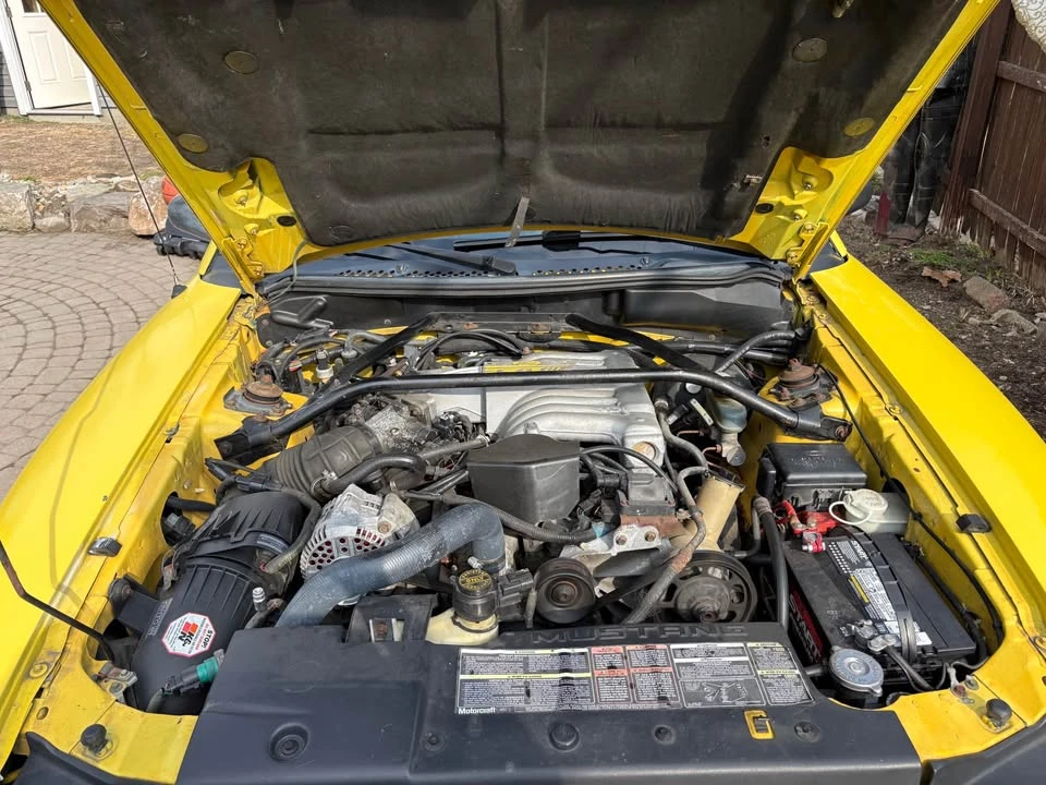 1994 Ford SN95 Mustang - Image 8 of 18