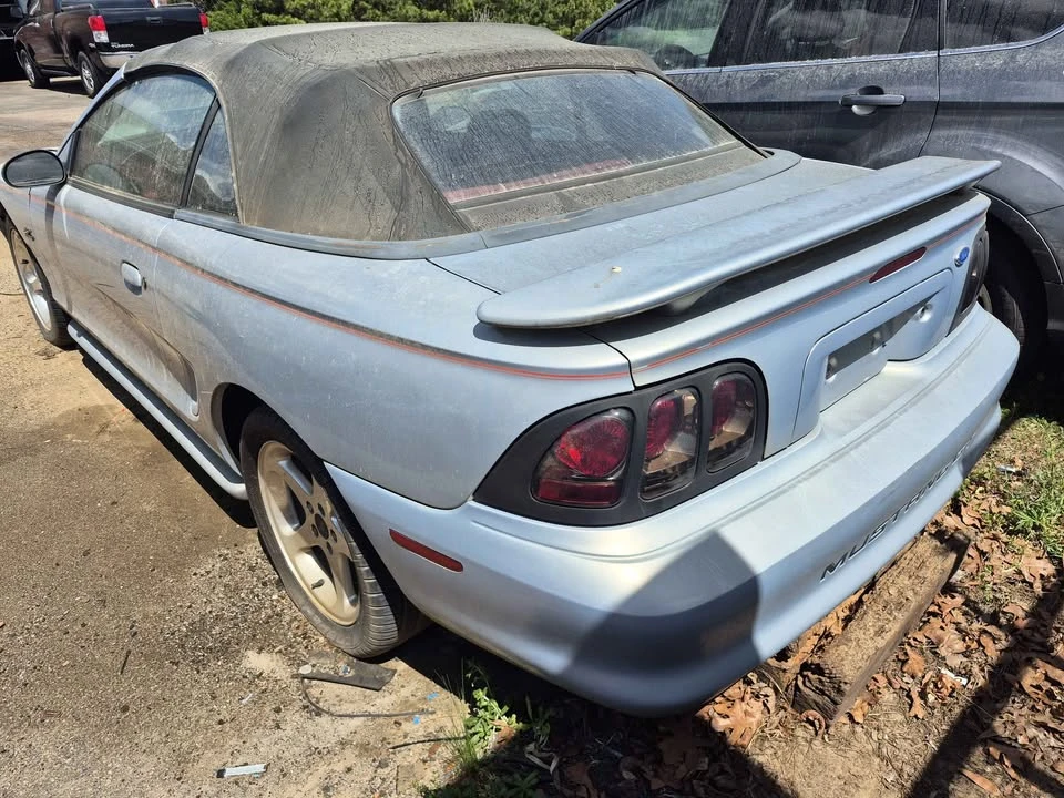1994 Ford SN95 Mustang - Image 3 of 10