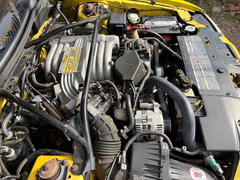 1994 Ford SN95 Mustang - Image 7 of 18