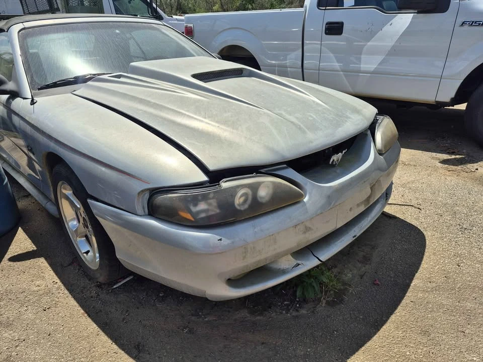 1994 Ford SN95 Mustang - Image 2 of 10