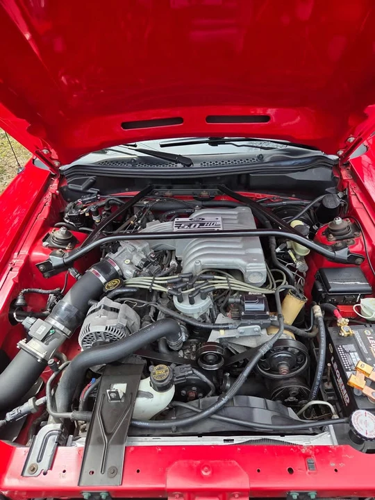 1994 Ford SN95 Mustang - Image 8 of 18