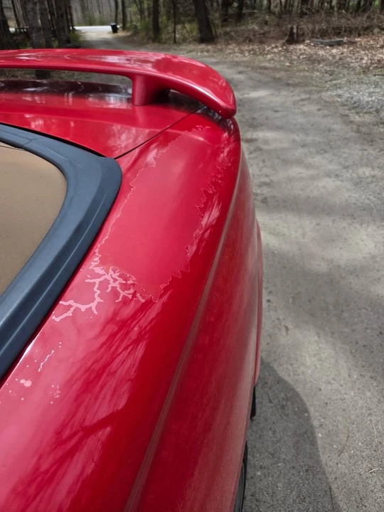 1994 Ford SN95 Mustang - Image 7 of 18