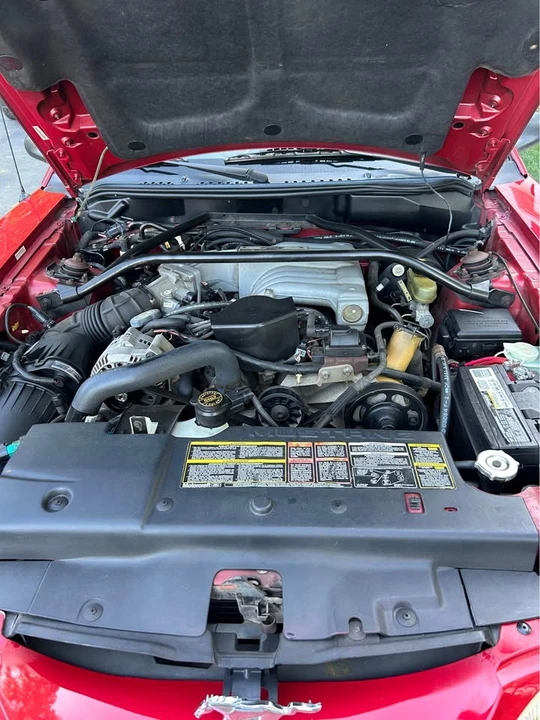 1994 Ford SN95 Mustang - Image 7 of 10