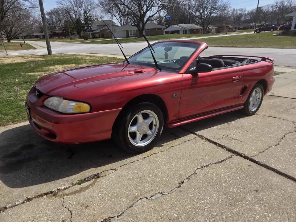 1994 Ford SN95 Mustang - Image 3 of 10