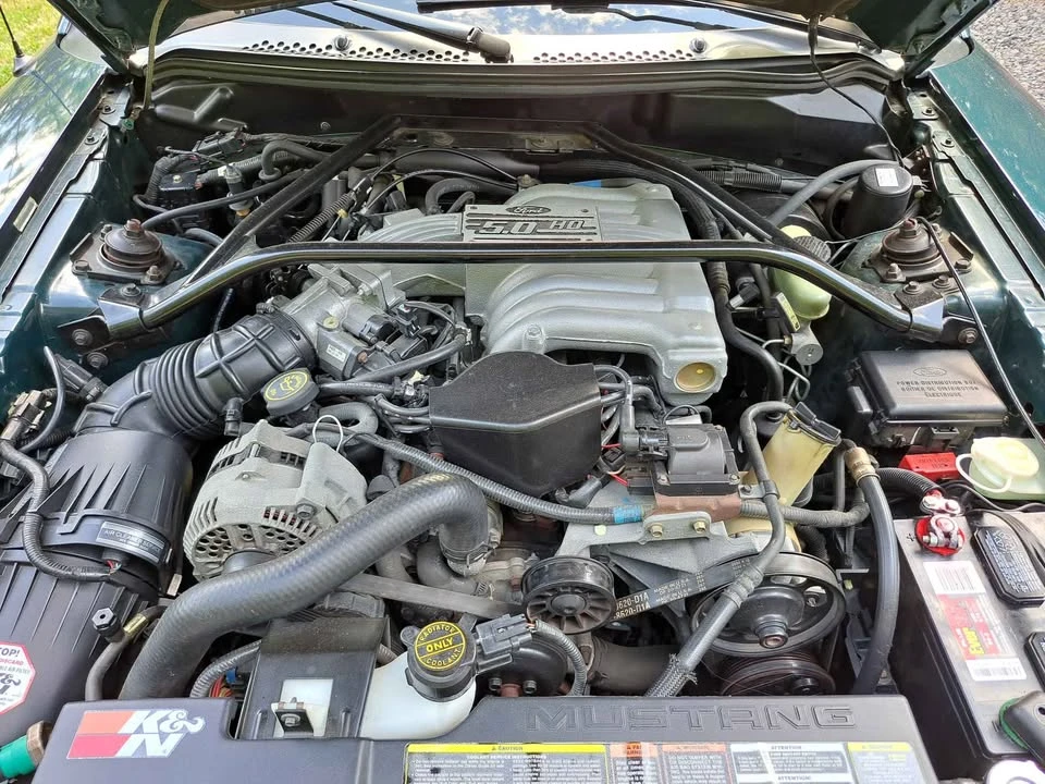1994 Ford SN95 Mustang - Image 12 of 12