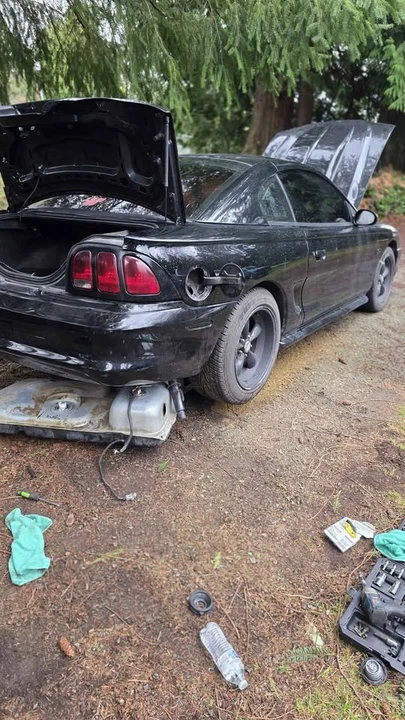 1994 Ford SN95 Mustang - Image 8 of 9
