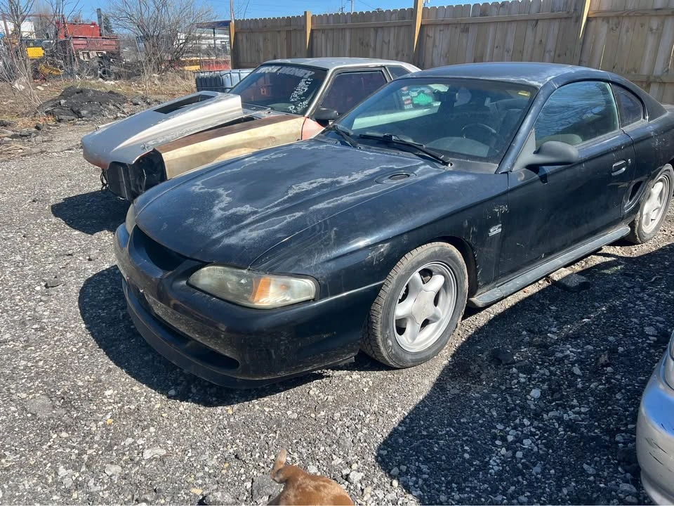1994 Ford SN95 Mustang - Image 3 of 5