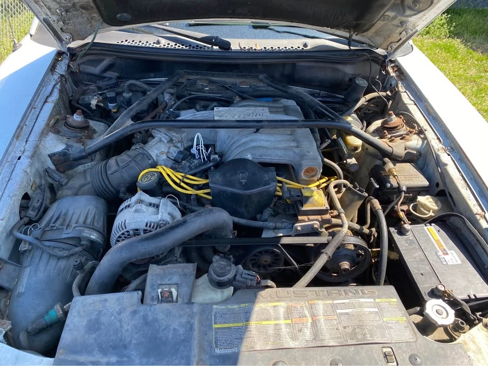 1994 Ford SN95 Mustang - Image 10 of 10