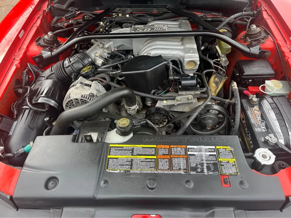 1994 Ford SN95 Mustang - Image 5 of 8