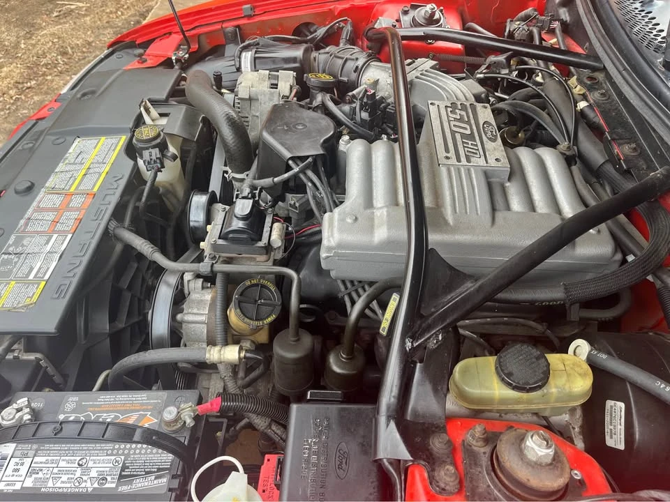 1994 Ford SN95 Mustang - Image 4 of 8