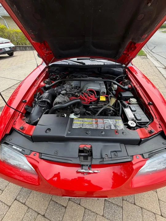 1994 Ford SN95 Mustang - Image 4 of 12