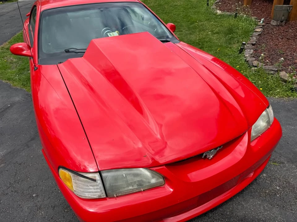 1994 Ford SN95 Mustang - Image 6 of 13