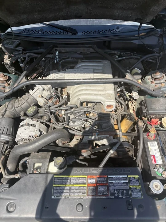 1994 Ford SN95 Mustang - Image 8 of 8