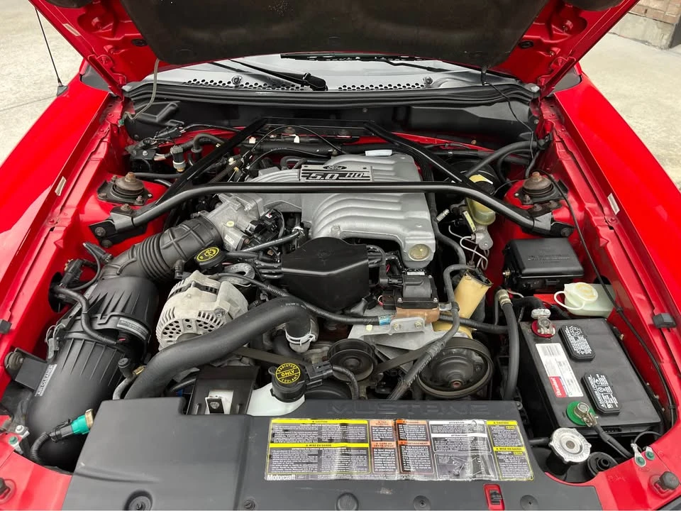 1994 Ford SN95 Mustang - Image 12 of 18