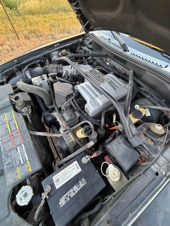1994 Ford SN95 Mustang - Image 10 of 12