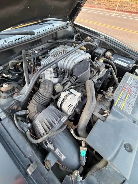 1994 Ford SN95 Mustang - Image 11 of 12
