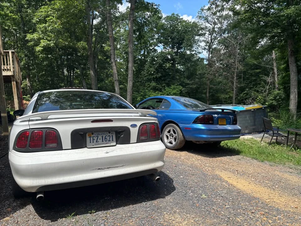 1994 Ford SN95 Mustang - Image 6 of 9