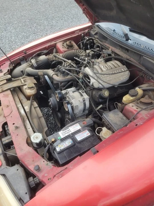 1994 Ford SN95 Mustang - Image 8 of 8
