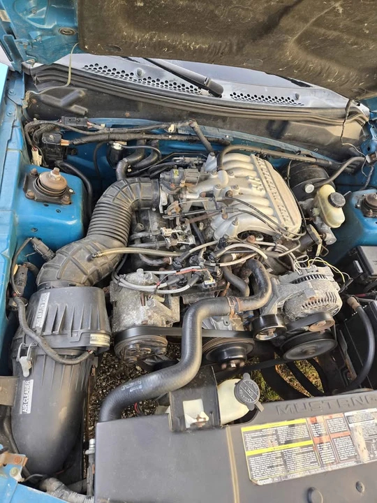 1994 Ford SN95 Mustang - Image 4 of 4