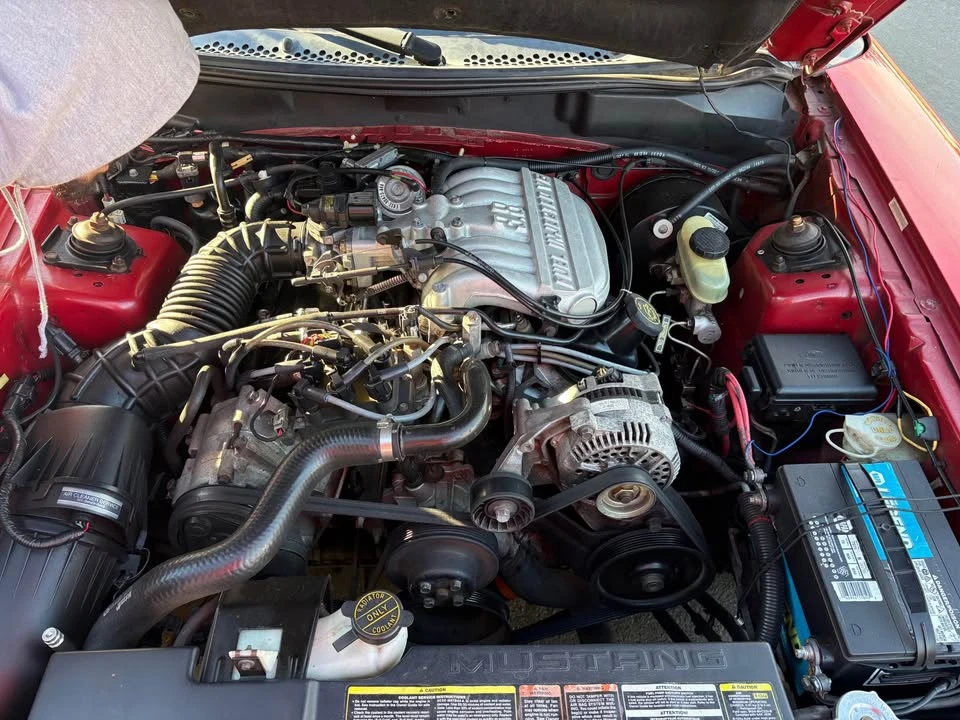 1994 Ford SN95 Mustang - Image 12 of 12
