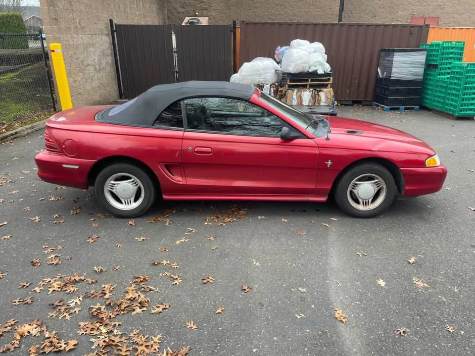 1994 Ford SN95 Mustang - Image 3 of 12
