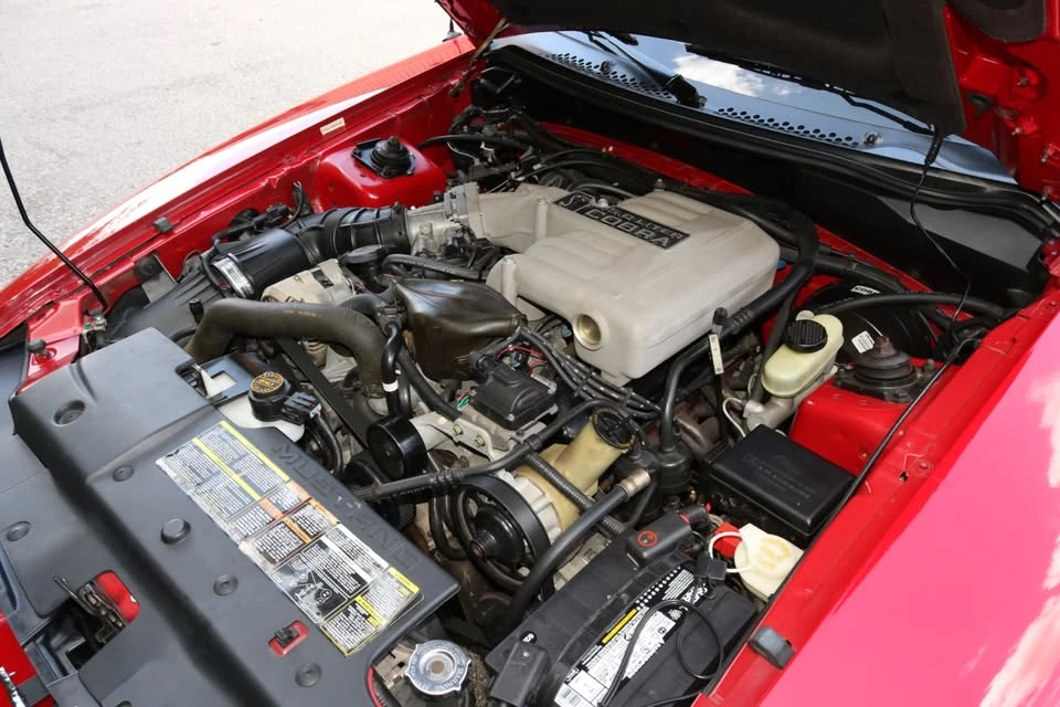1994 Ford SN95 Mustang Cobra - Image 19 of 19