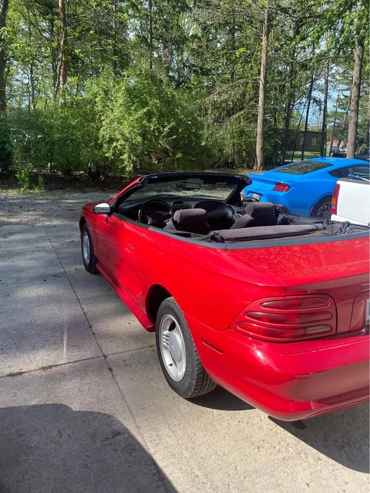 1994 Ford SN95 Mustang - Image 3 of 9