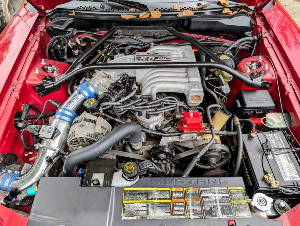 1994 Ford SN95 Mustang - Image 14 of 14